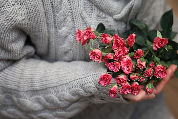 Bouquet of bush of roses in female hands on a background of knitted sweaters