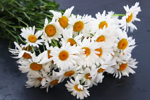 A bouquet of camomiles close-up is located