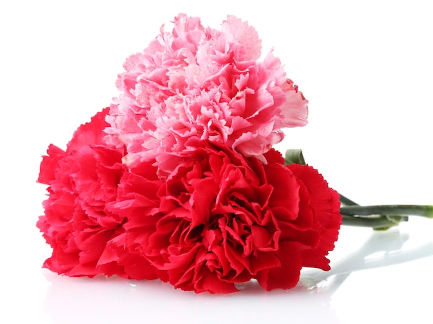 Bouquet of carnations isolated on white