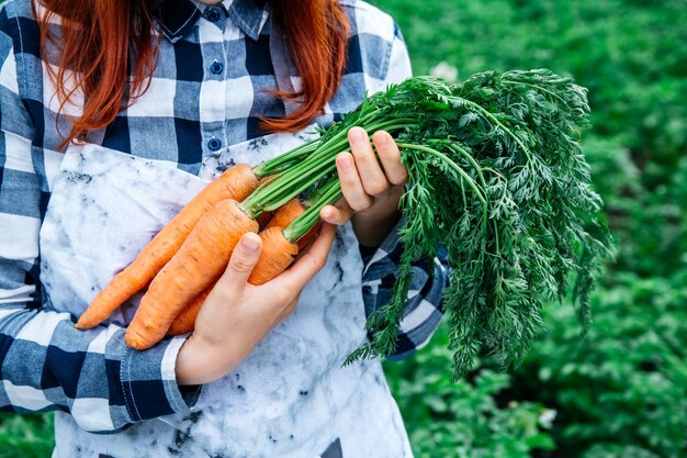 Bouquet of carrots in a hand with a green background.