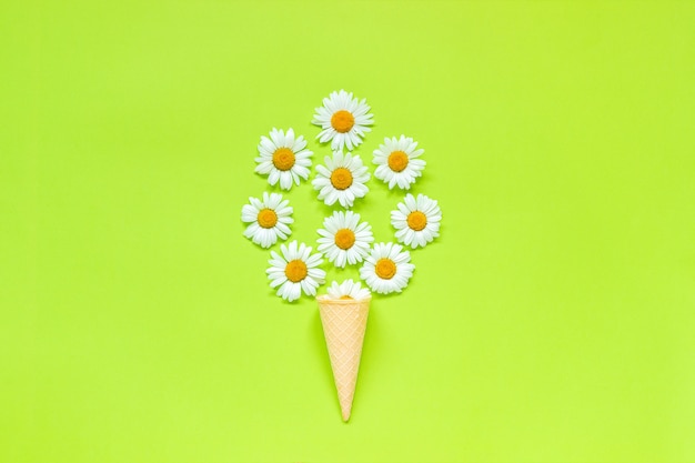 Bouquet chamomile daisies flowers in ice cream cone Template 