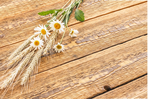 Bouquet of chamomile flowers and dry spikelets of wheat on wooden boards. Top view.