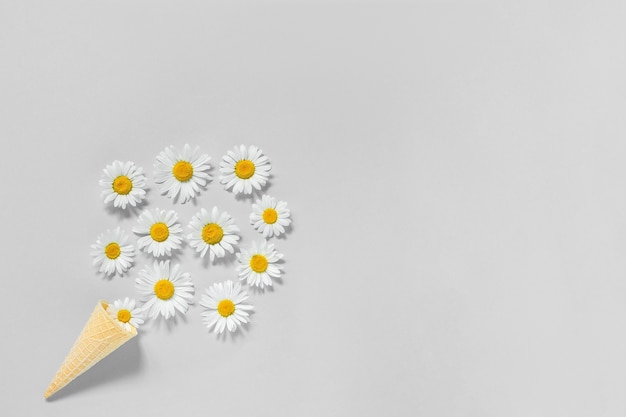 Bouquet chamomile flowers in waffle ice cream cone on gray color background. Trendy colors 2021. Copy space Flat lay Top view Concept Hello summer.