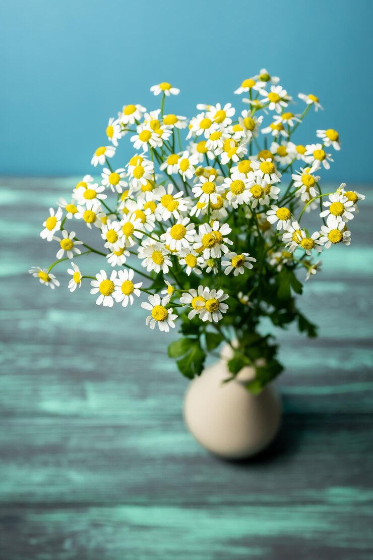カモミール花の花束