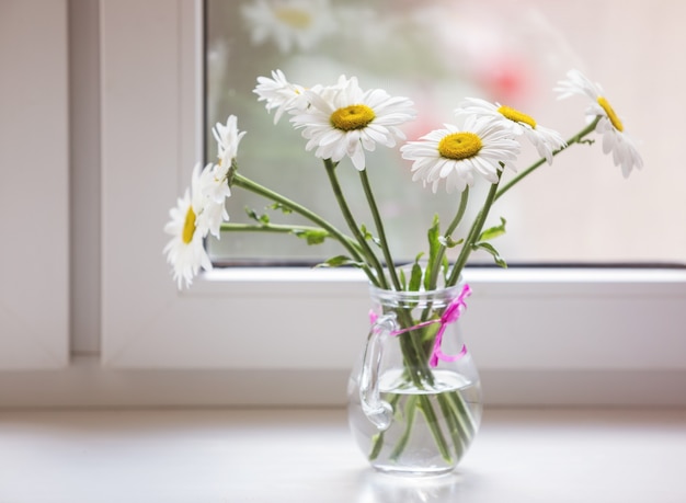 Bouquet of chamomiles flowers on the window sill.