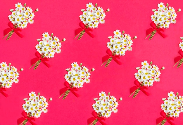 Bouquet of chamomiles with tied red bow on the red background Flat lay Pattern Top view