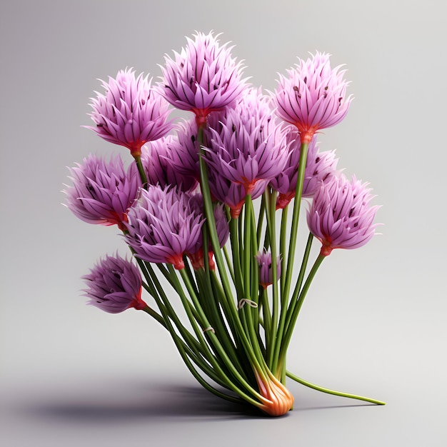 Bouquet of chives on a gray background 3d render