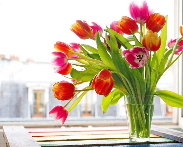 Bouquet of colored tulips in glass