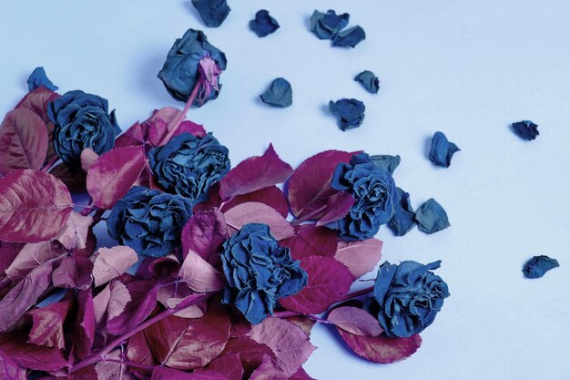 Букет из цветных, увядших, синих роз с красной листвой.