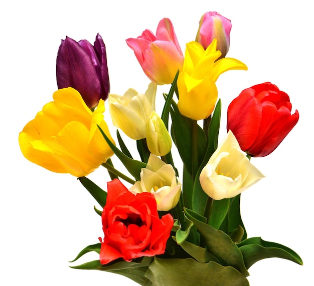 Bouquet of colorful and beautiful tulips flowers isolated on white background. Still life, wedding. Flat lay, top view