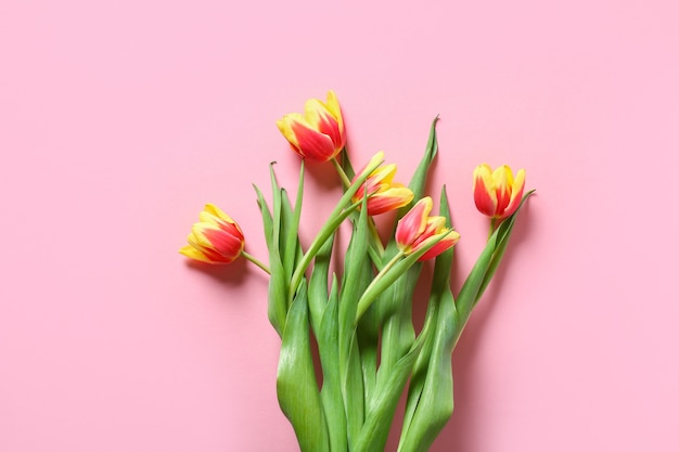 Bouquet of colorful bloomed tulips