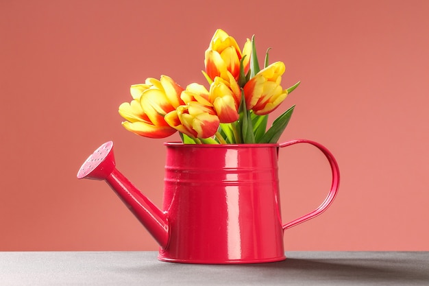 Bouquet of colorful bloomed tulips