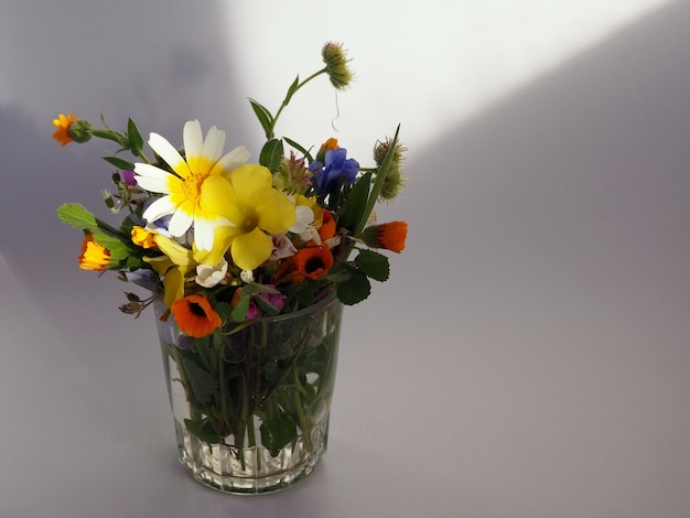 Букет красочных цветущих диких луговых цветов в стакане