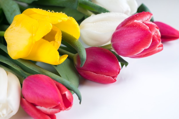 Bouquet of colorful tulips with green leaves