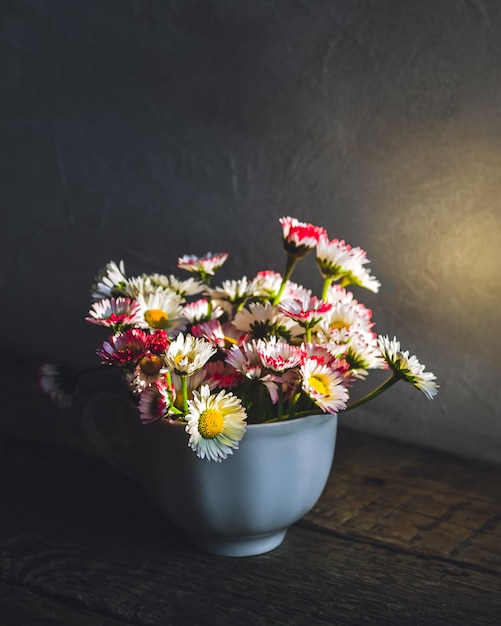 Bouquet of common daisies in a tea cup