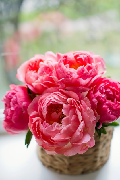 Bouquet of coral peonies in vase