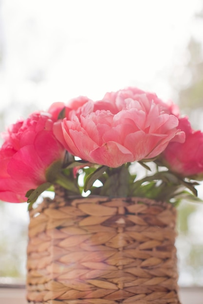 Photo bouquet of coral peonies in vase