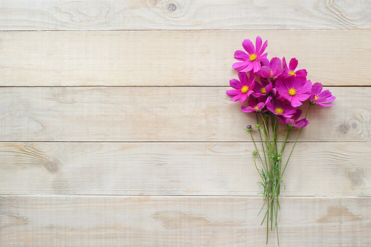 コスモスの花束