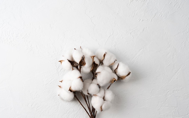 Photo bouquet of cotton flower branches on white background, top view, flat lay, space for text