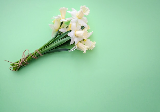 Bouquet of daffodils on a green background