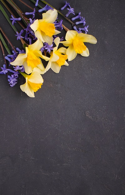 Bouquet of daffodils and lilac flowers on a black background, copy space