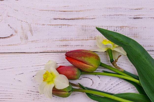 Bouquet of daffodils and red tulips on white wooden background Greeting card for Easter Valentine's Day Women's Day and Mother's Day Top view copy space