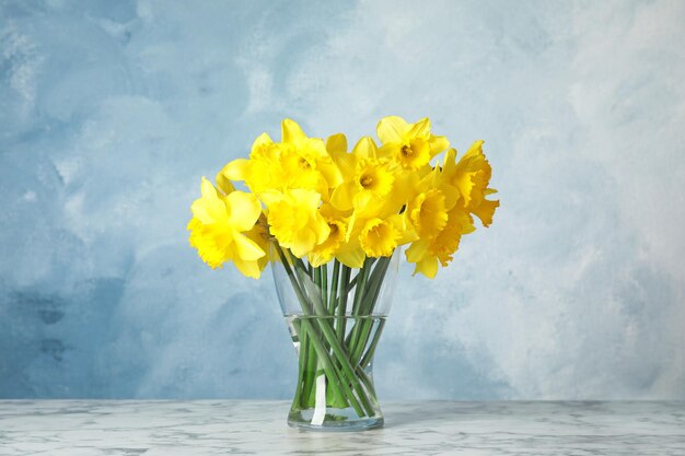 Bouquet of daffodils in vase on table against color background Fresh spring flowers