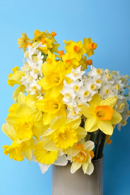 Bouquet of daffodils in a vase