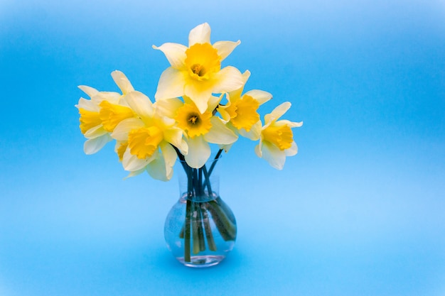 Bouquet of daffodils