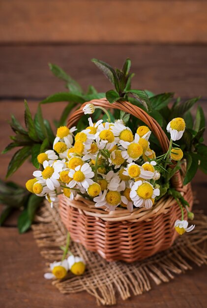 Bouquet of daisies in a basket on a wooden background