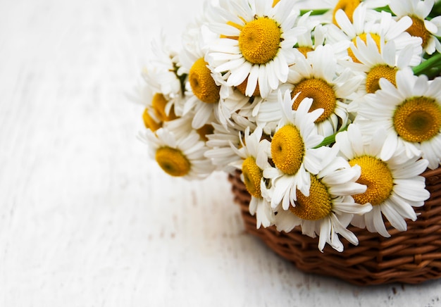 Bouquet of daisies in a basket