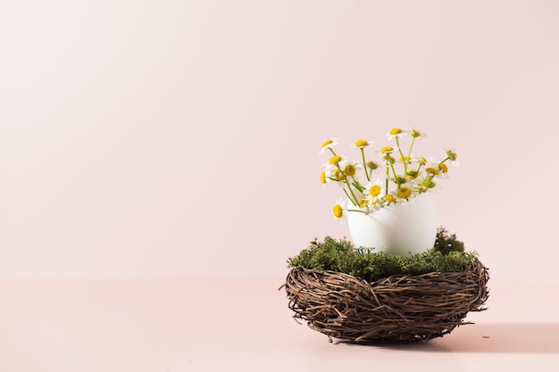 Bouquet of daisies in an eggshell in a nest on a pink background copy space