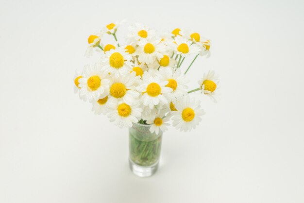 Photo bouquet of daisies isolated in vase