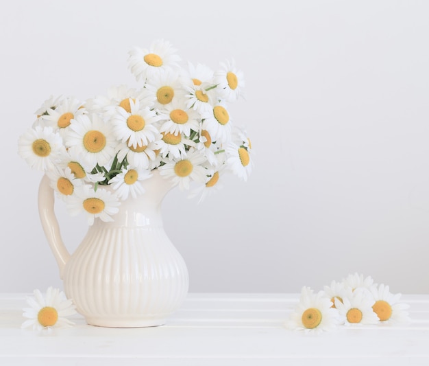 Bouquet of daisies on white background