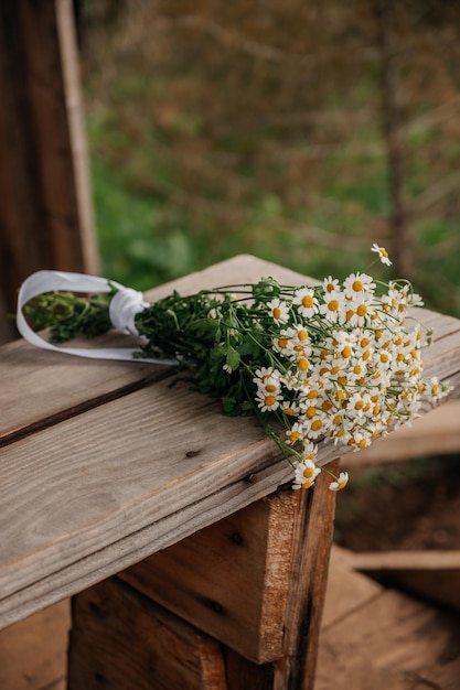 Photo bouquet of daisies