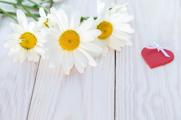 A bouquet of daisies.