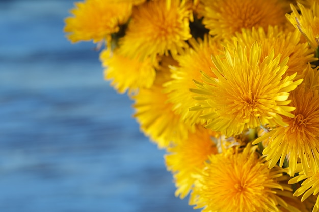 Bouquet of dandelions on wooden table