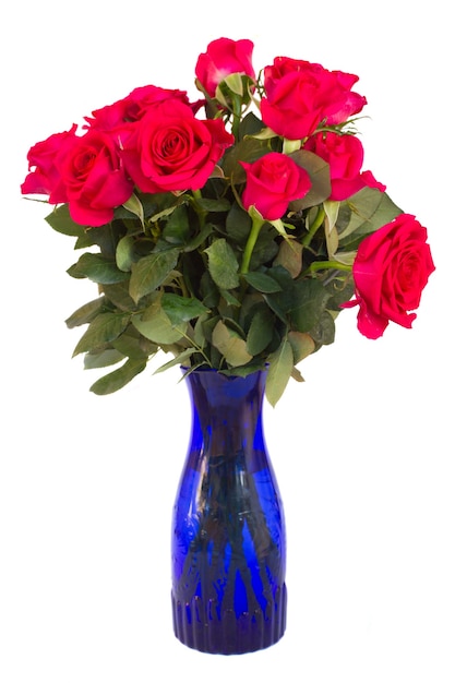 Bouquet of  dark pink roses isolated on white background