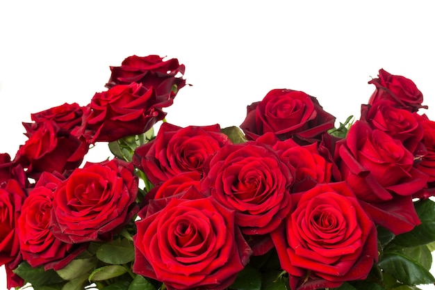 Bouquet of dark red roses close up isolated