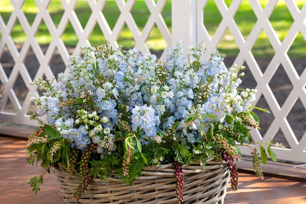 bouquet of delphiniums in wicker basket on veranda against white fence Decorating room