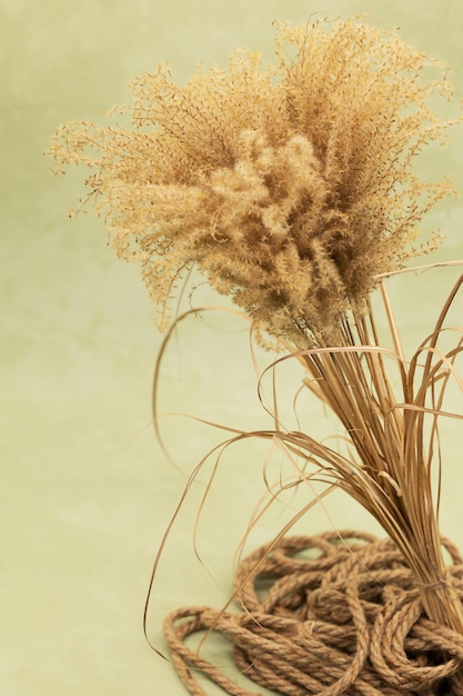 Bouquet of dried flowers in a vase on an olive background in boho style