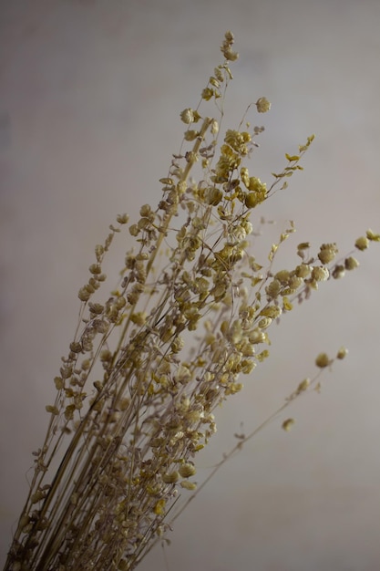 花瓶のドライフラワーの花束