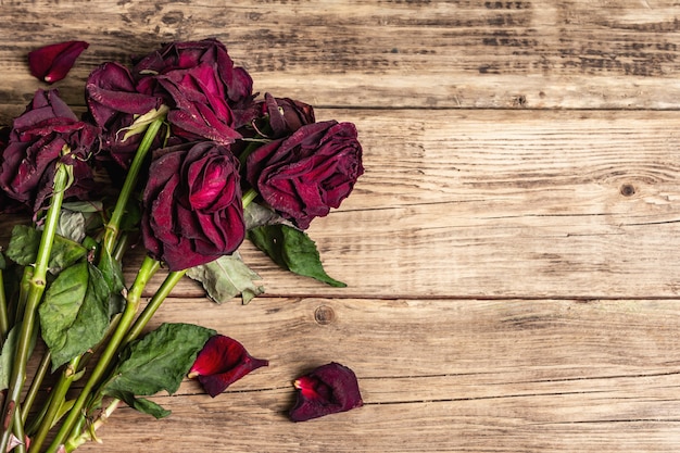 Bouquet of dry burgundy roses