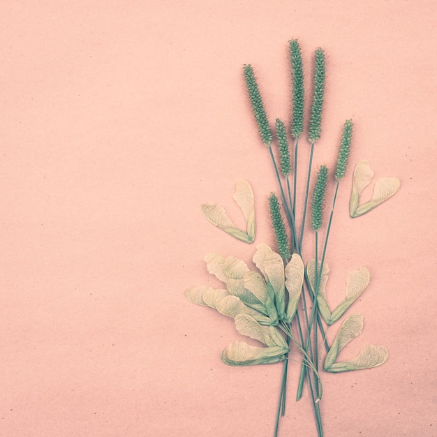 Bouquet of dry field plants on pastel background with copy space