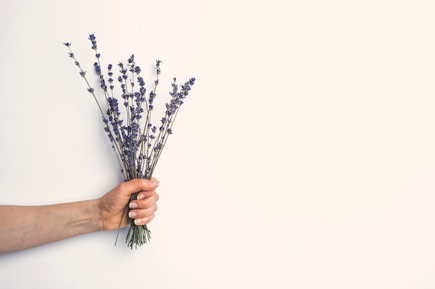 Photo bouquet of dry flowers in hand.