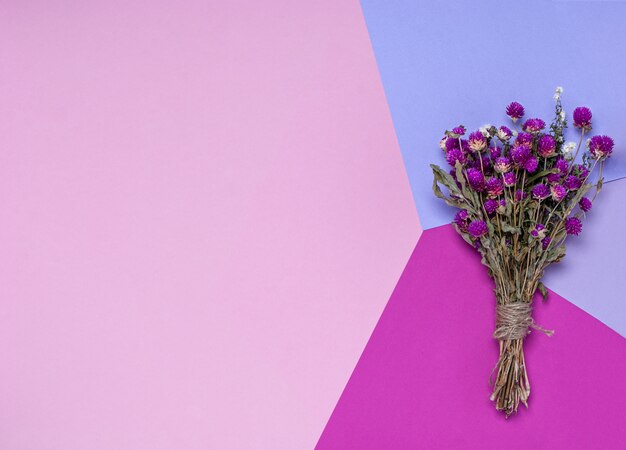 Bouquet of dry wildflowers on a pink, purple and lilac background.