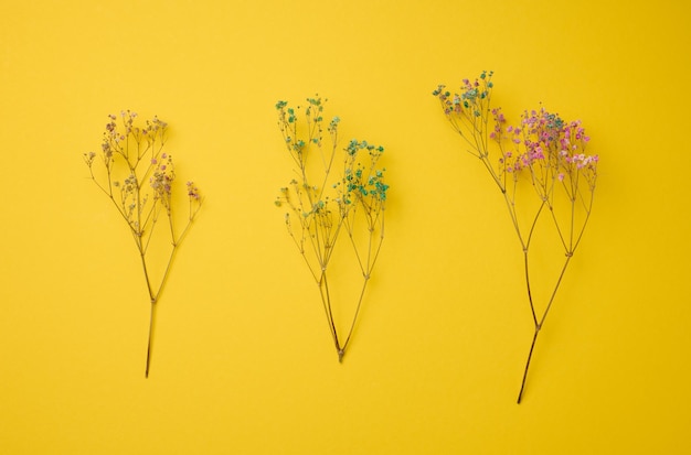 Bouquet of dry wildflowers on a yellow background top view