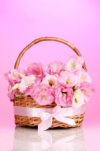 Bouquet of eustoma flowers in basket on pink background