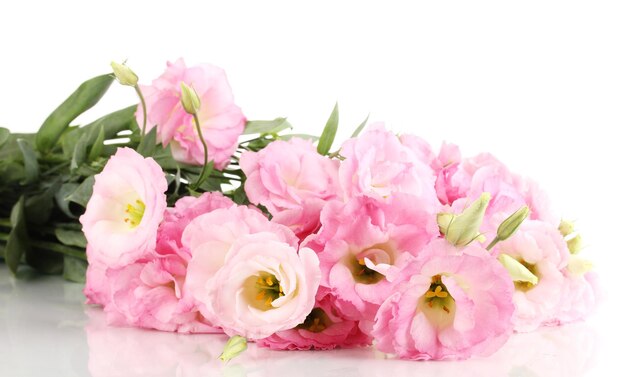 Bouquet of eustoma flowers isolated on white