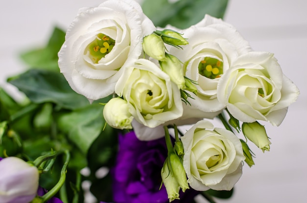 Bouquet of eustoma flowers